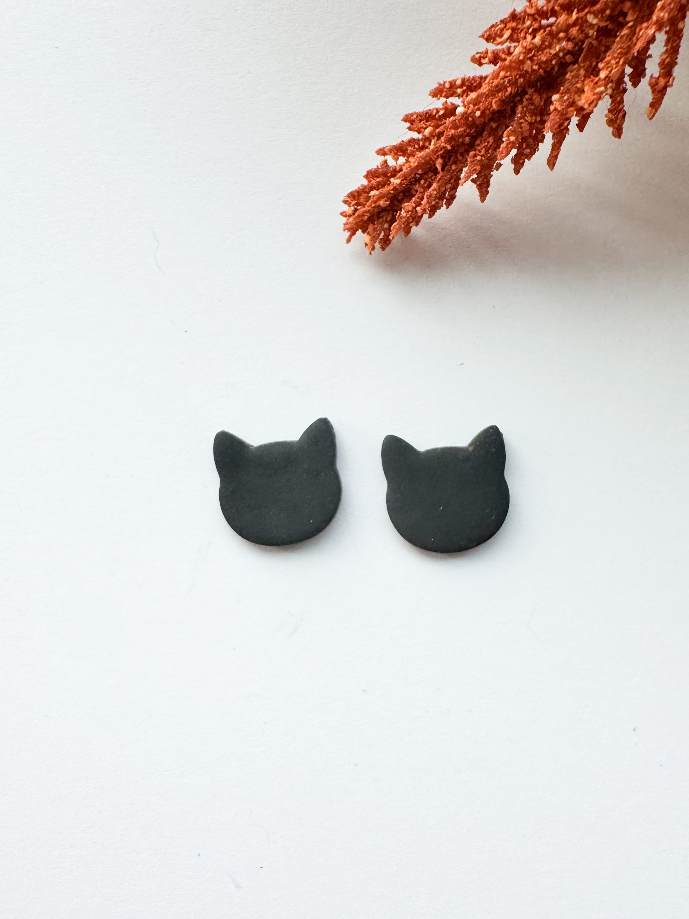 Midnight Cat Studs